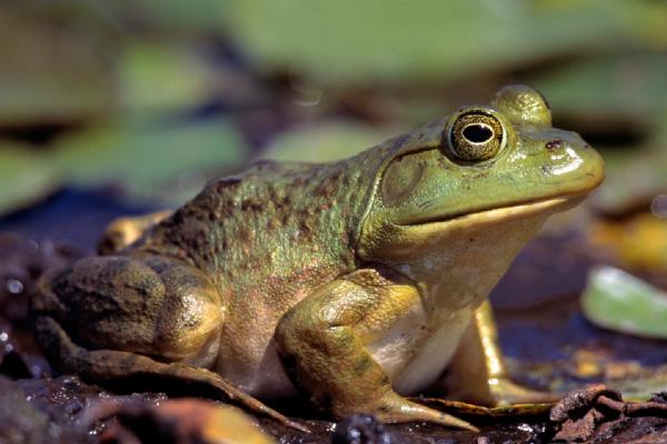 来源于网络 来源于网络